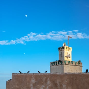 Starlings Perched on Wall Near Minaret in Fez, Morocco photo