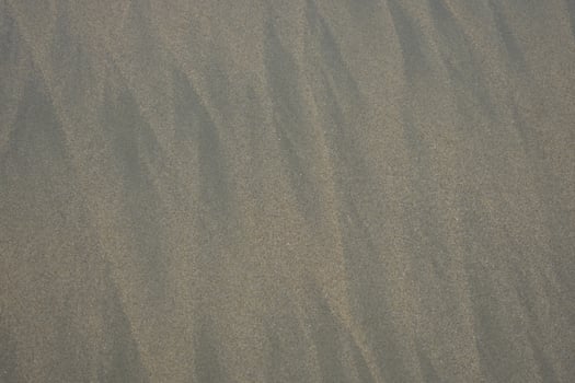 Nice Texture Background Image photo