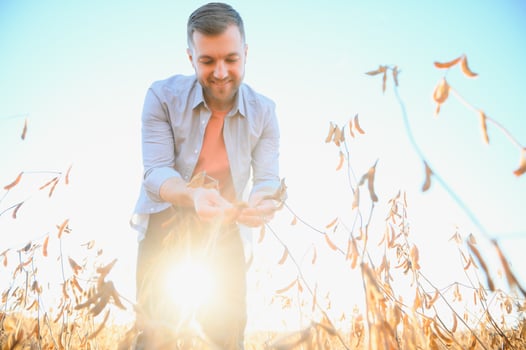 agronomist or farmer examining crop of soybeans field. photo