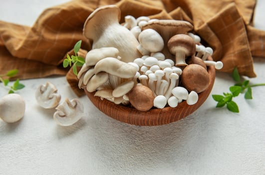 Assortment of various mushrooms photo