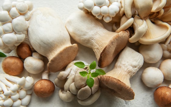 Assortment of various mushrooms photo