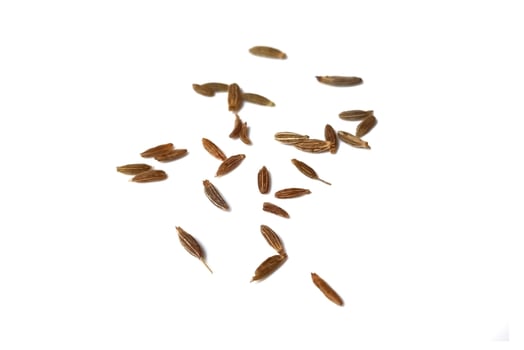 Cumin seeds isolated on white background photo
