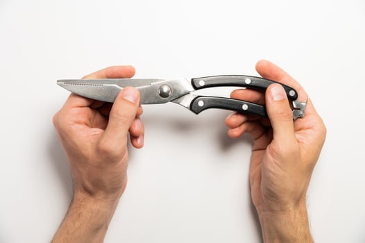 worker holds a pruner with black handles on a white background, close-up. garden tools photo