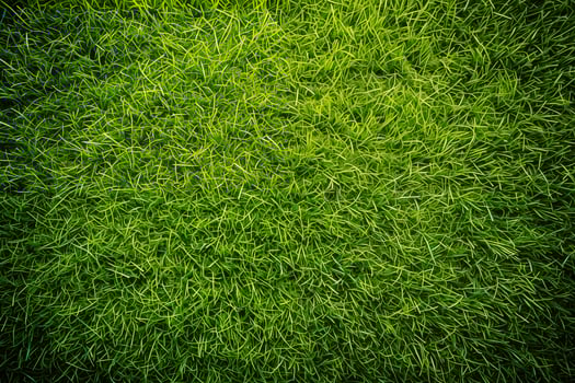 Green Serenity, High-Quality Grass Image, green grass texture photo