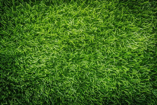 perfect lawn, lush green paradise for your visuals, green grass photo