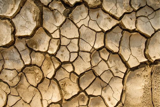 dry cracked ground photo
