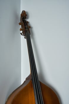 vintage double bass photo