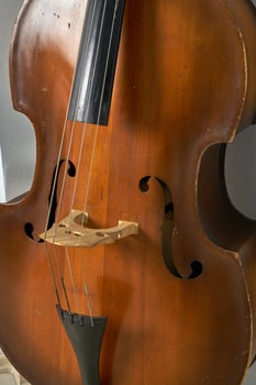 vintage double bass photo