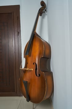 vintage double bass photo