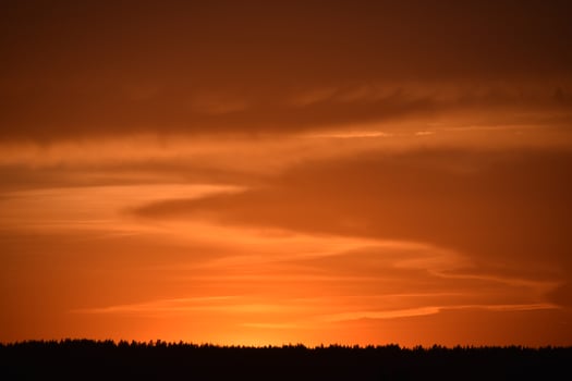A bright orange sunset and a black forest beyond the horizon. Beautiful sunset. photo