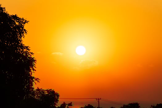 Orange Sunrise with Silhouetted Trees photo