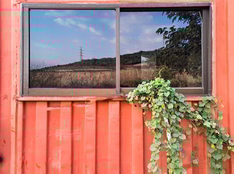 Red Shipping Cargo Container for Logistics and Transportation photo