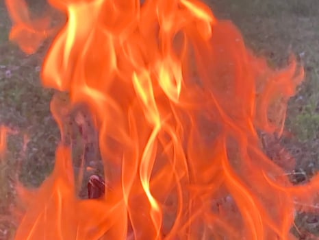 The flame of the fire burns from the wood photo