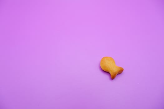 a biscuit shaped like a fish. Biscuit isolated on purple background. photo