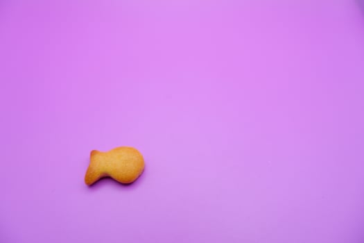 a biscuit shaped like a fish. Biscuit isolated on purple background. photo