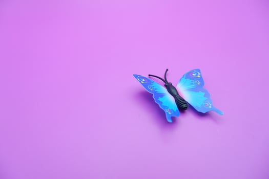 butterfly toy isolated on purple background. toy butterfly with blue wings. photo