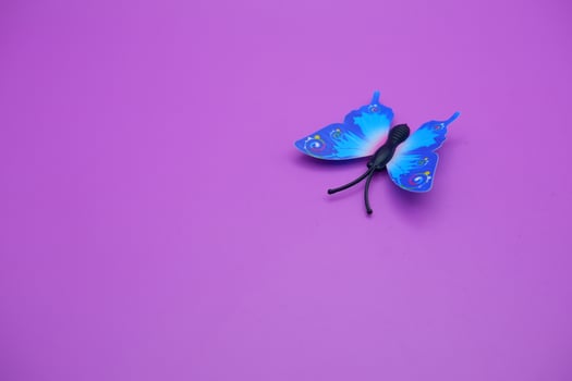 butterfly toy isolated on purple background. toy butterfly with blue wings. photo