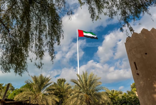 The flag of the United Arab Emirates flies high in the sky photo