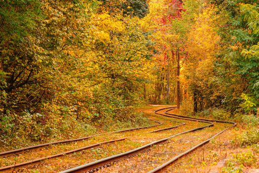 Autumn forest through which an old tram rides Ukraine photo