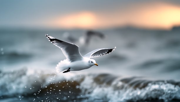 Seagull Soaring Over Foamy Waves at Sunset photo