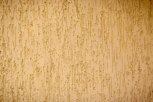 wall plastered under bark beetle 2 photo