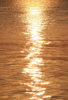 Calm ocean waves with golden light reflections from the rising sun photo