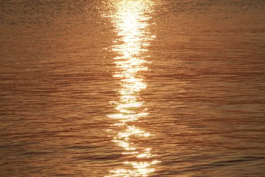 Calm ocean waves with golden light reflections from the rising sun photo