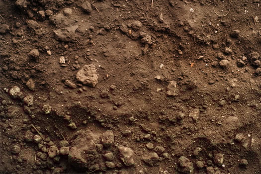 brown soil texture top view organic ground background photo