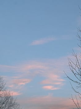 Colors of dusk photo