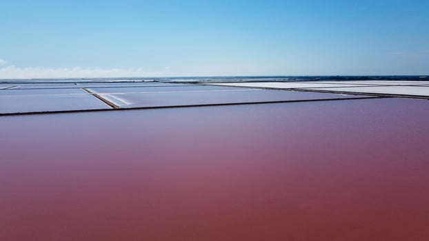 endless expanses of salt reserves in the salin de Giraud in the Camargue regional natural park in Provence at the mouth of the Rhone. Bright colors on a sunny summer day. natural landscape of France photo
