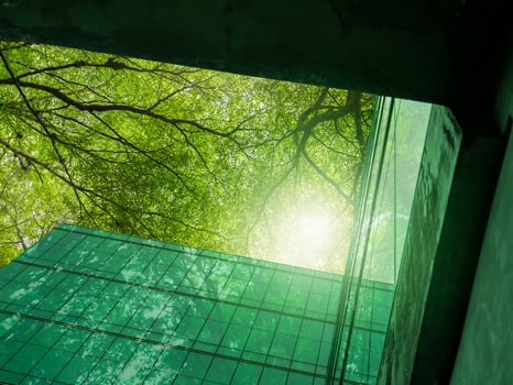 Eco-friendly building in the modern city. Sustainable glass office building with trees for reducing heat and carbon dioxide. Office building with green environment. Corporate building reduce CO2. photo