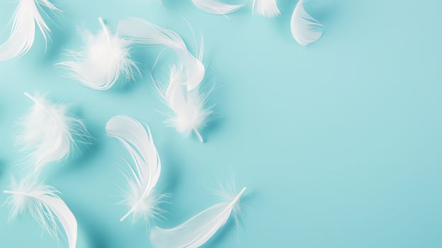white feathers on blue background photo