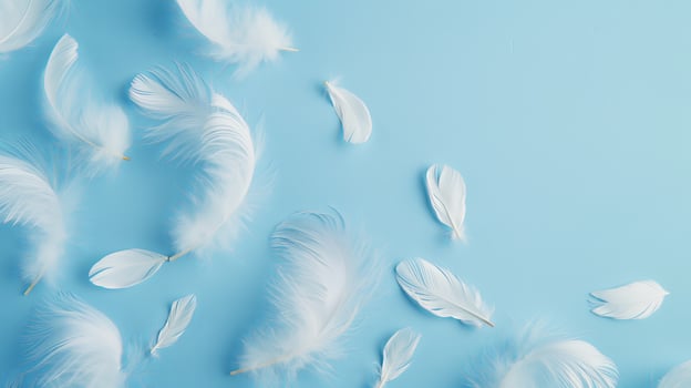 white feathers on blue background photo