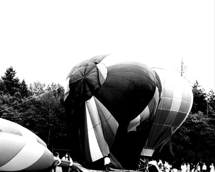 Black and white hot air balloons background photo