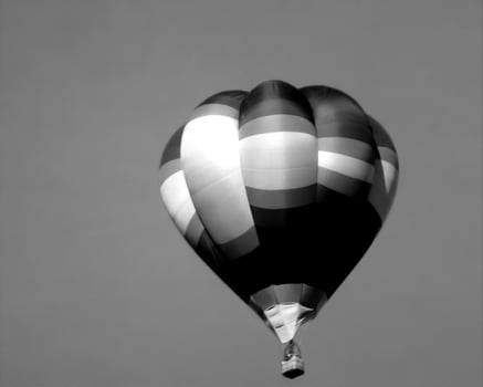 Black and white hot air balloons background photo