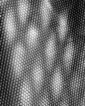 Abstract black and white monochrome light background for presentation covers photo