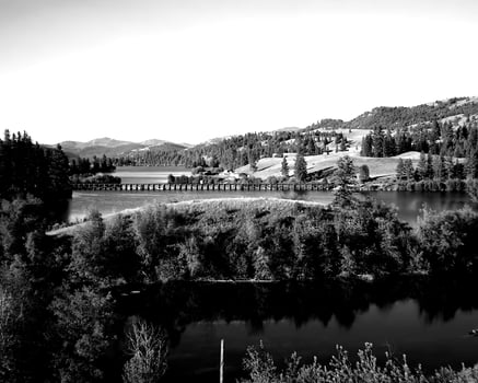 Lake a forest landscape black and white photo background, natural waterscape