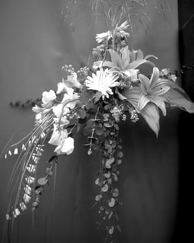 Garden black and white photo background. Spring or summer gardening with plants and flowers