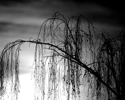 Sunset or sunrise sky black and white monochrome background photo