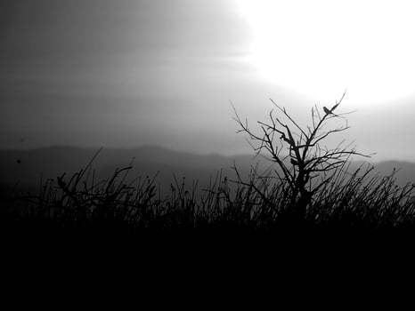 Sunset or sunrise sky black and white monochrome background photo
