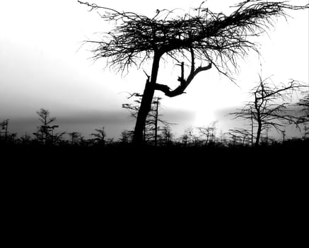 Sunset or sunrise sky black and white monochrome background photo