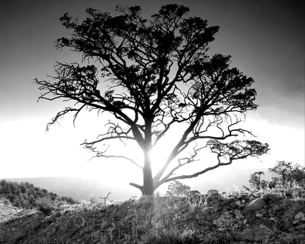Sunset or sunrise sky black and white background photo