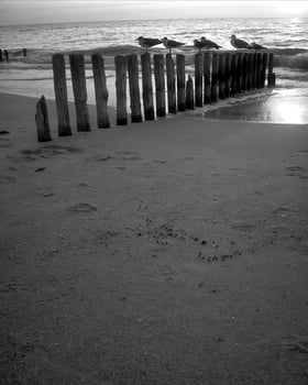 Sunset or sunrise sky black and white background photo