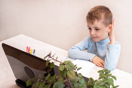cute boy rejoices at the start of an online lesson. lectures for children in an online school. children's online education photo