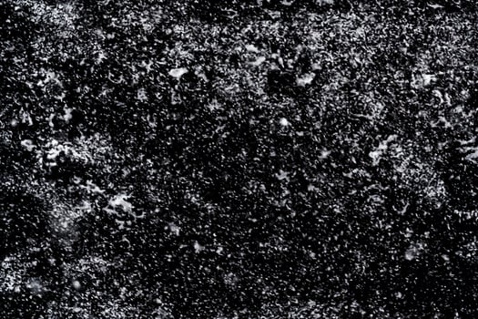 Snow blizzard on black background - design elements photo