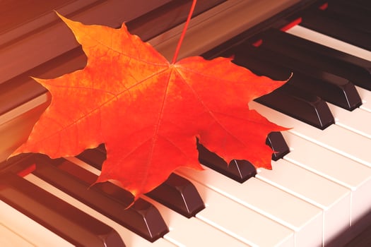 Close up view of autumn red leaf on piano keys photo