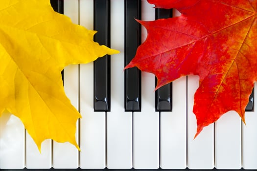 Close up view of autumn leaves on piano keys photo