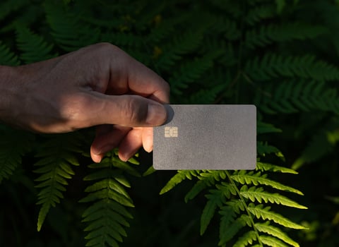 . Blank bank debit card mockup in male hand in nature, green plants, fern leaf. photo