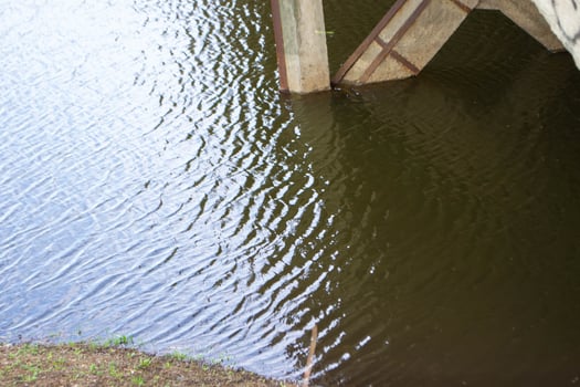 Summer nature. Footbridge by the river. Green trees. Landscape photo