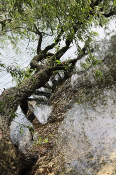 photo of a water theme